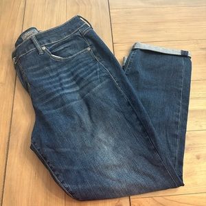 Torrid Jeans